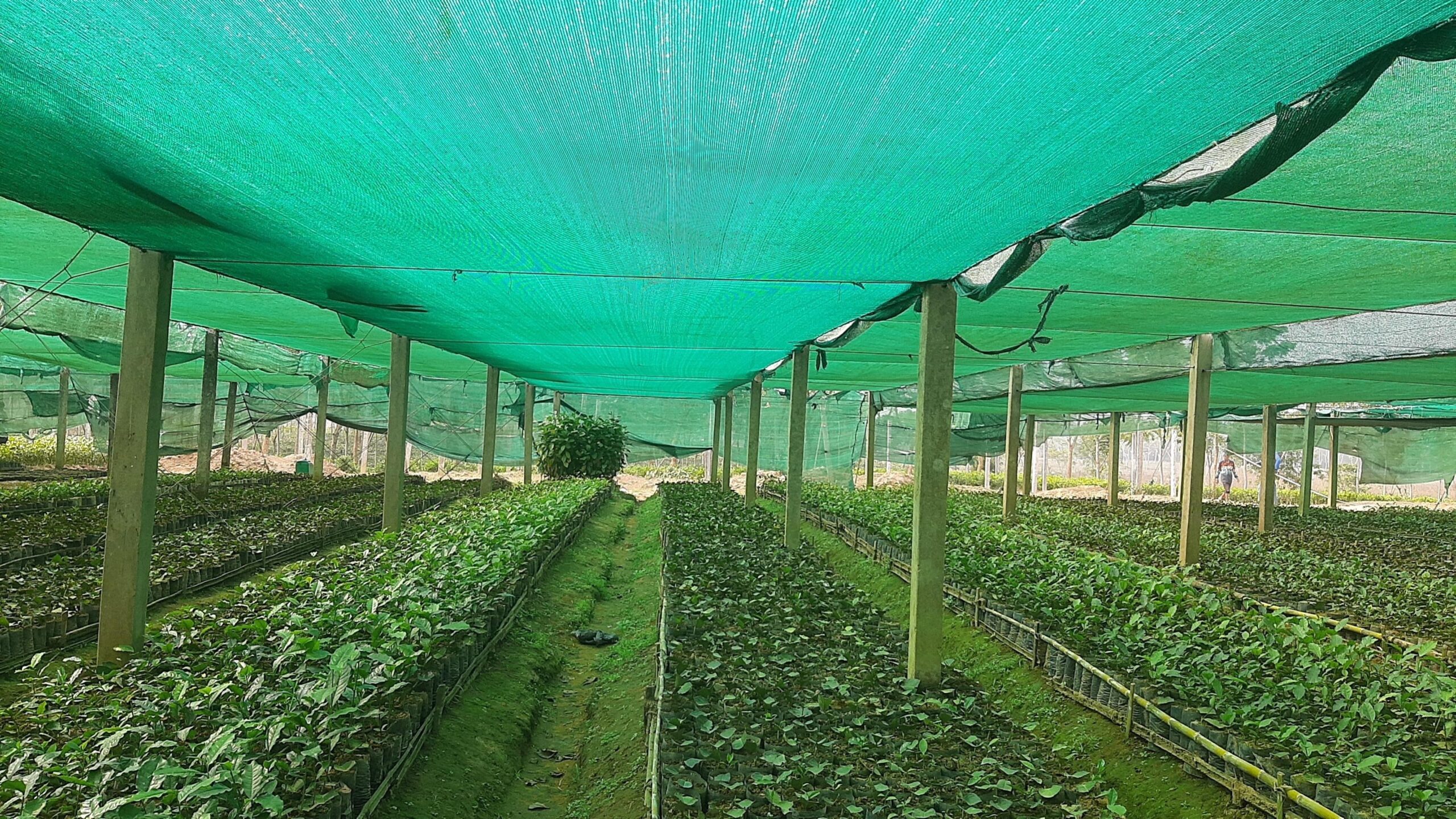 Green Shed Net in Ahmedabad & Gandhinagar
Buy premium Green Shed Net, Agro Shed Net, and Green Net at Span Shield Mart. Heavy-duty, UV-proof, best quality nets for agriculture, balcony cover, and construction safety.