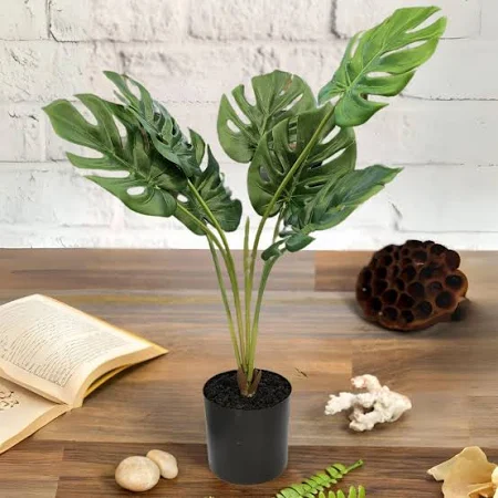 Premium Artifical Plants