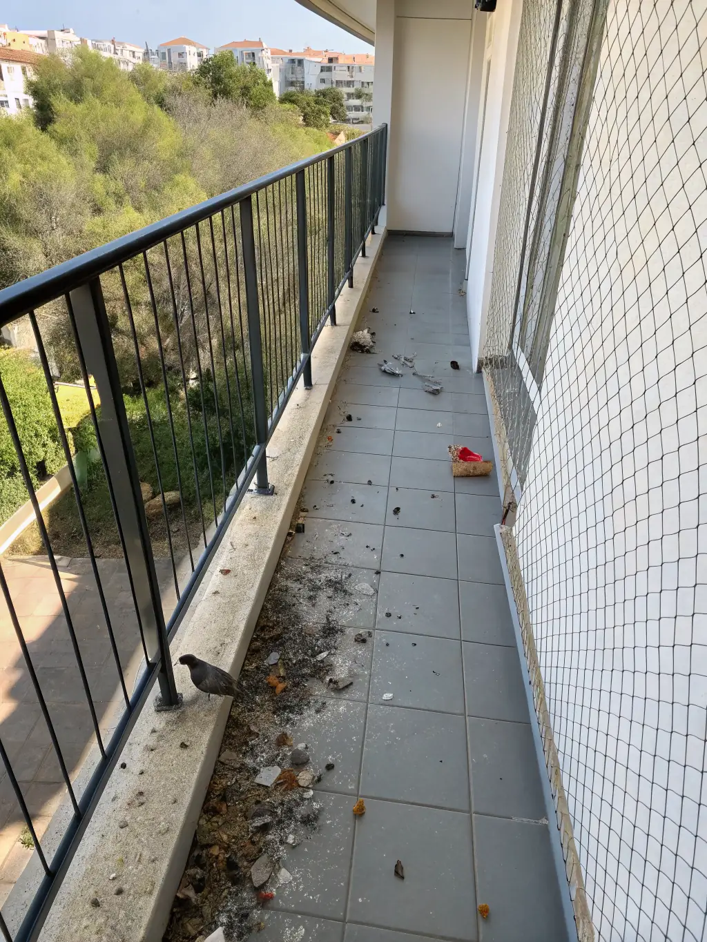 A clear image showing a close-up of bird droppings on a window sill before and after the installation of a bird safety net, emphasizing the cleanliness benefit. The 'after' side is spotless, showcasing the effectiveness of the net.