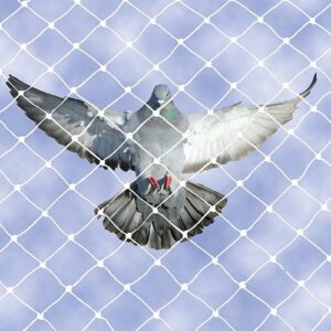 Protect Your Home and Health: Why You Need Professional Bird Netting in Gota