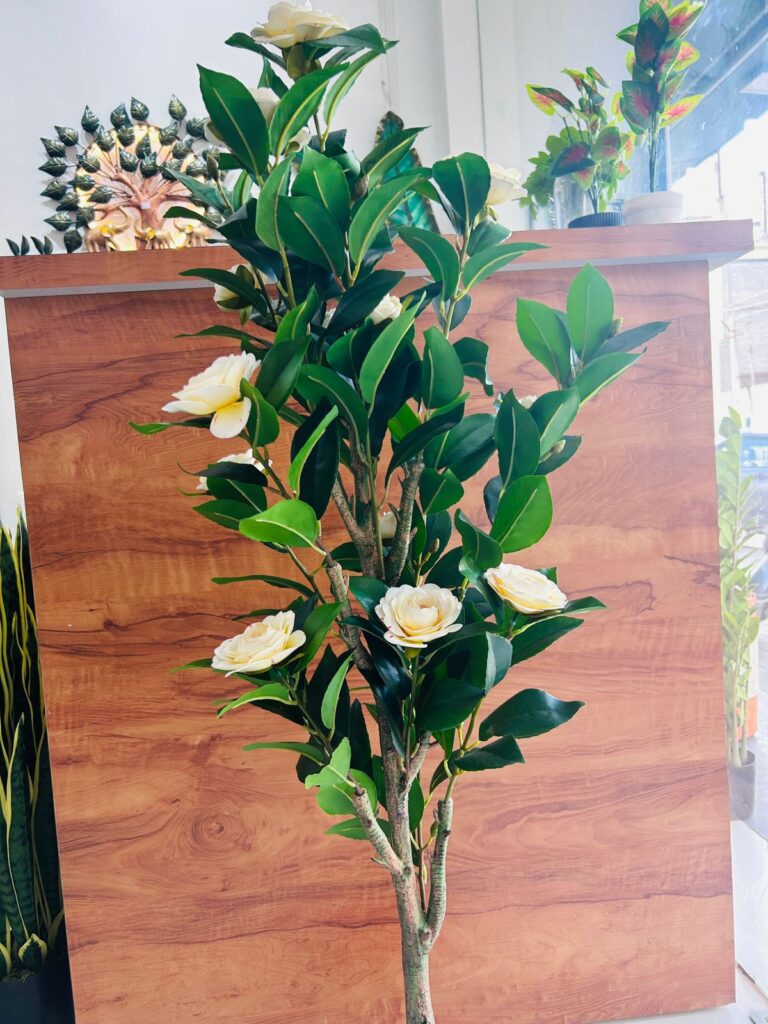 Buy artificial plants, artificial grass, bird nets, tarpaulins, garden tools & safety products in Ahmedabad. Visit Span Shield Mart, Gota.