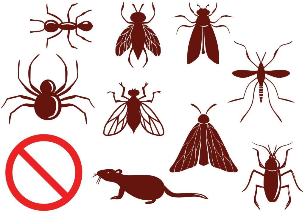 Pest Control Service near me