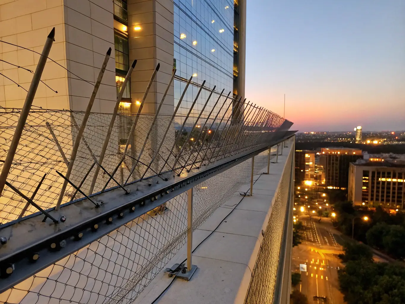 A detailed image of bird spikes installed on a building ledge, effectively deterring birds from landing and nesting in the area.