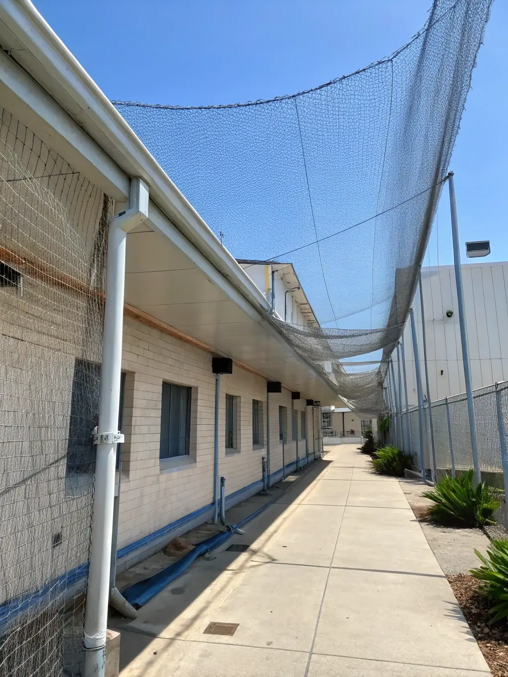 An industrial warehouse protected with bird netting, preventing birds from contaminating stored goods and equipment.