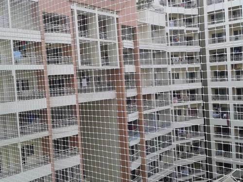 Bird Netting Service in Ahmedabad | Pigeon Netting & Invisible Grill Solutions